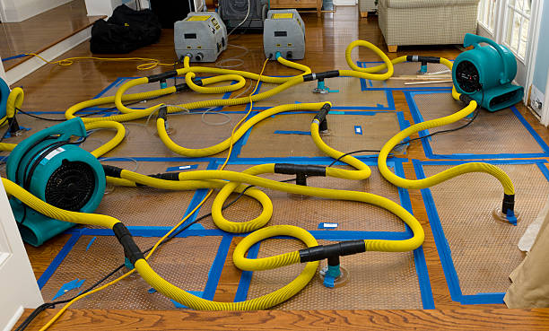 Professional Crawl Space Water Removal technician working in Edgar, WI